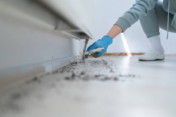 Best Emergency Pest Control  in Huber Heights, OH